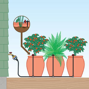 watering system